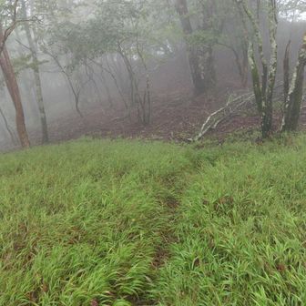 黒峰・トンギリ山方面