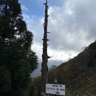 杉峠に着きました