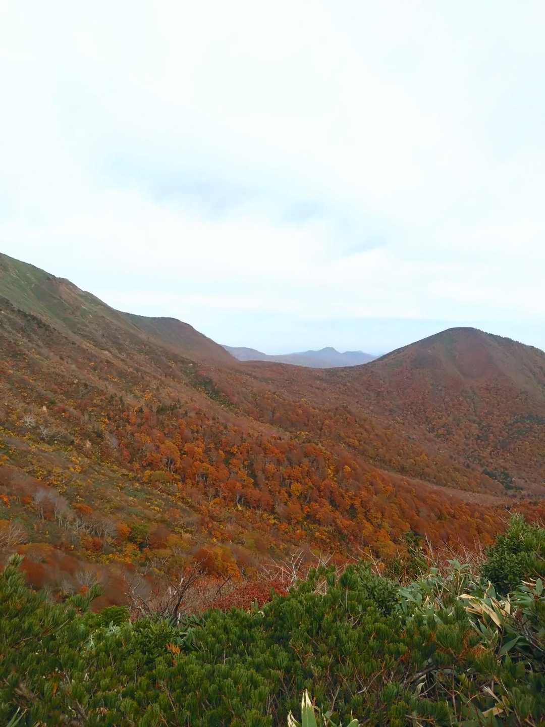 水引入道-屏風岳-南屏風岳-不忘山-白石女子校小屋跡 周回コースの写真