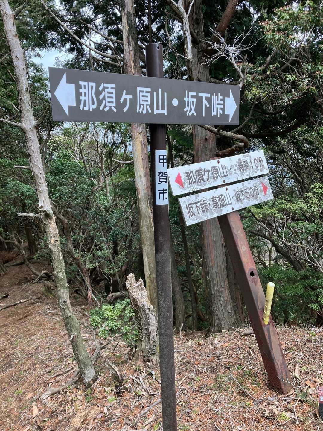 那須ヶ原山から来た場合
ここを左に入って
小那須ヶ原山へ