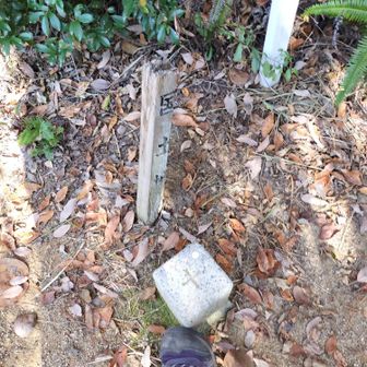 大原山　四等三角点
眺望なし😭