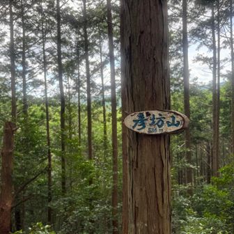 愛知130山の彦坊山、解らなさすぎて通り過ぎてたわ😂
♯103/130