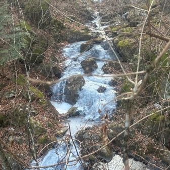 凍ってる−−❄️