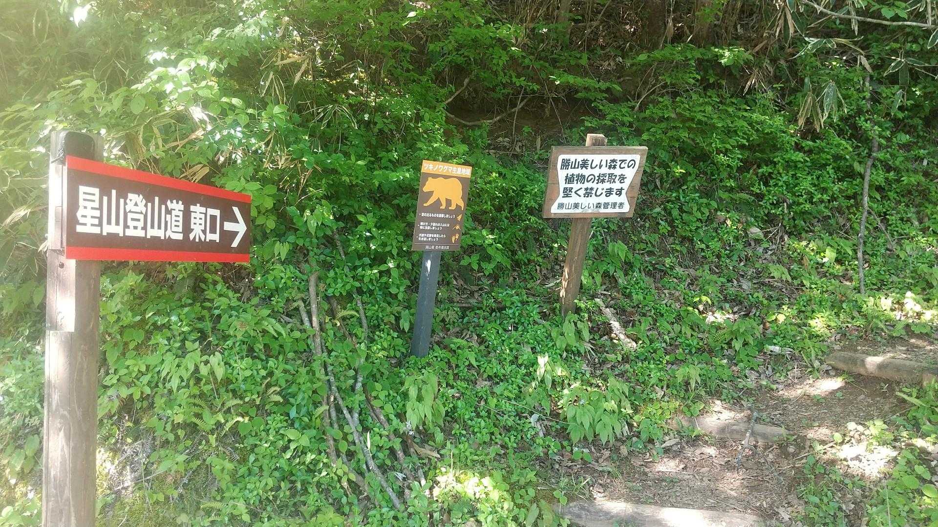 登山口駐車場には２台のみ。ほぼ貸切状態。
熊さんな出会いませんように❗️と祈っていざ星山へ