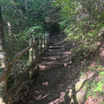 稲荷山コースのスタート