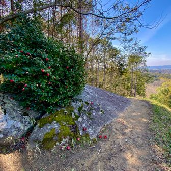 貝吹岩🪨　一山の僧を集めるため法螺貝を吹き鳴らした岩
