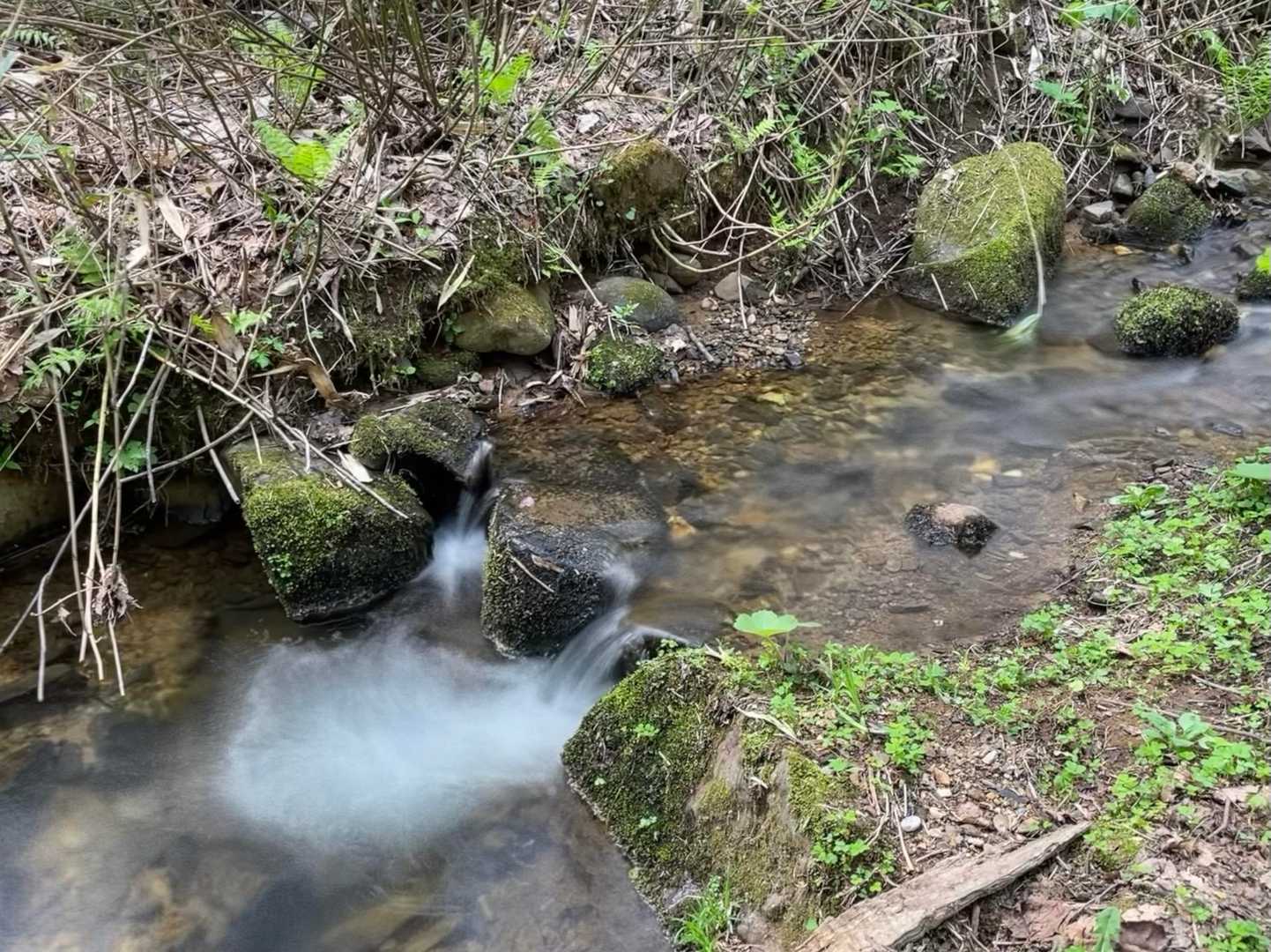 沢の音が涼しげです。