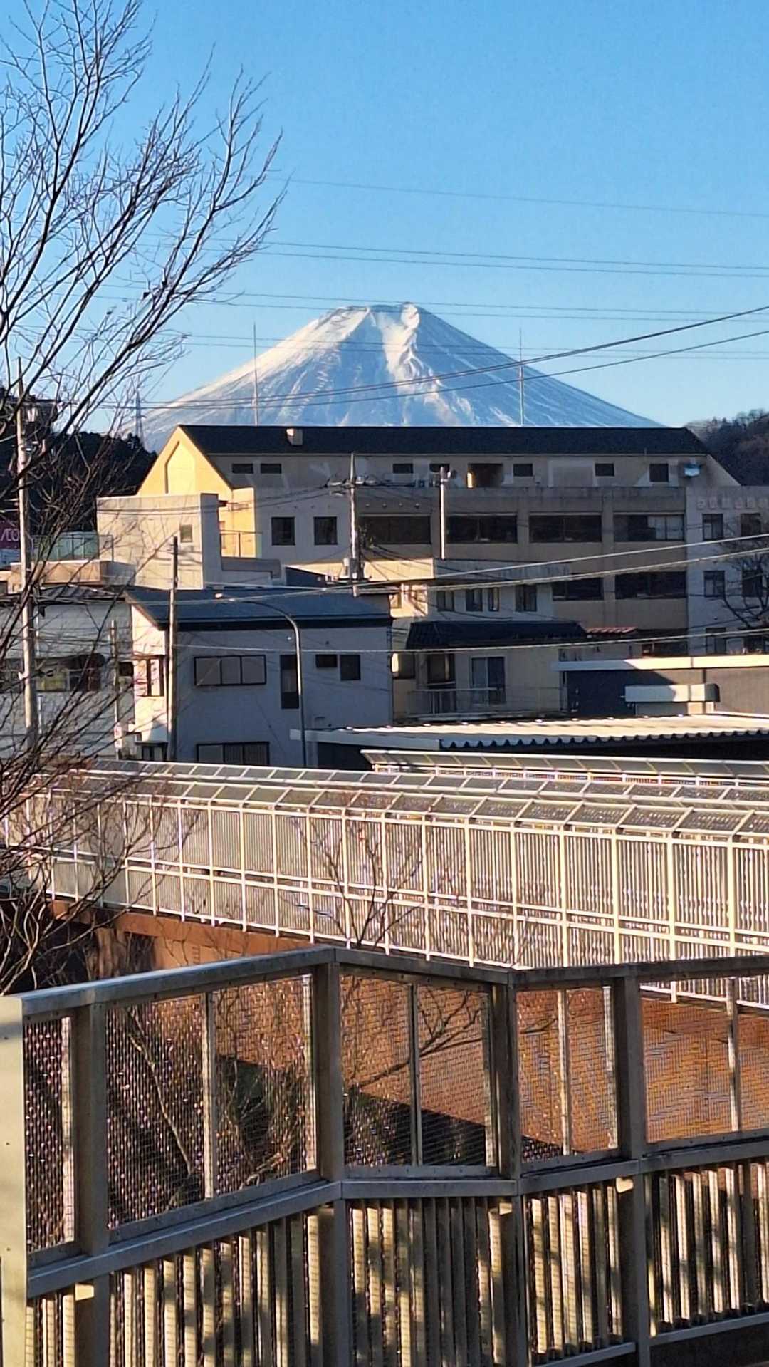 岩殿山（JR大月駅）の写真