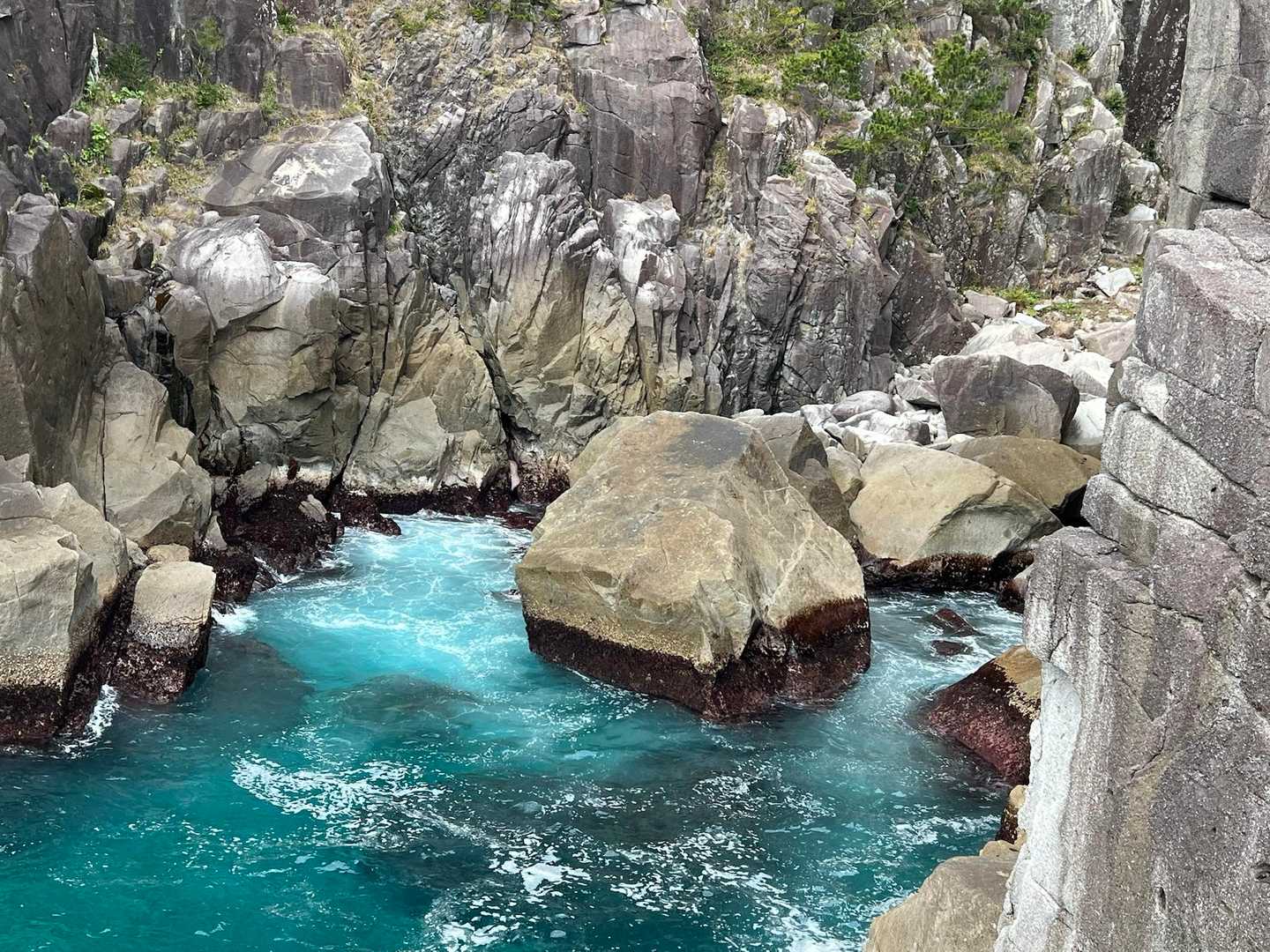 頂山-オハイ 周回コースの写真