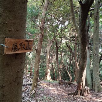 鷹取山到着～
通り過ぎてしまった

山道では散々「鷹取山→」って看板あったのですが、いざ山頂に近づくと看板無...