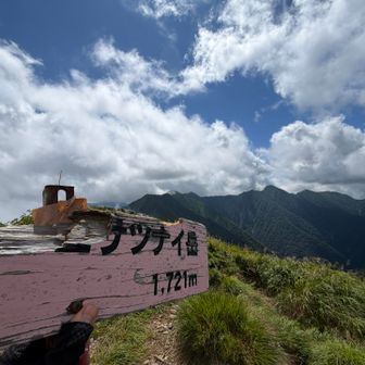 コイカクの山頂標識はもうボロボロ