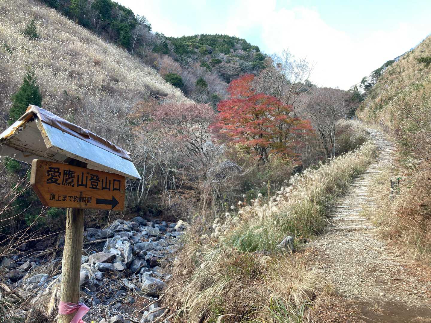 林道を2.3ｋｍ進み、愛鷹山登山口！
冒頭は木の階段です。