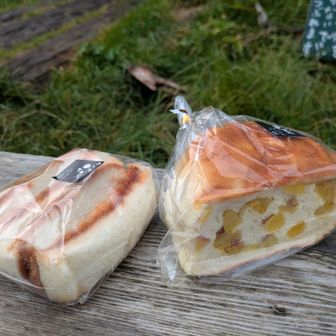 今日のお昼？ん？何時今？