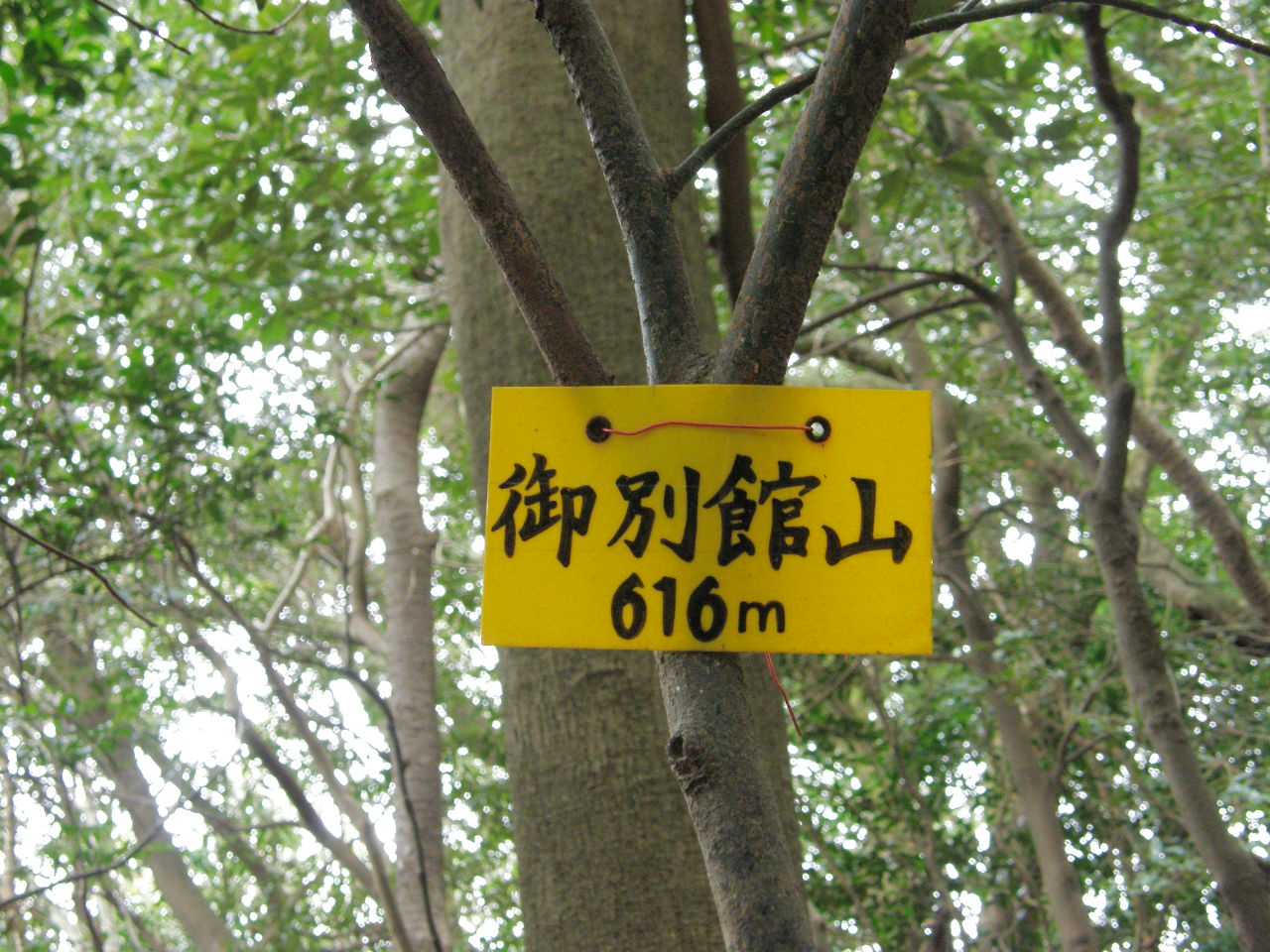 御別館山( •̀ᴗ•́ )و✨
こっから先は未踏。