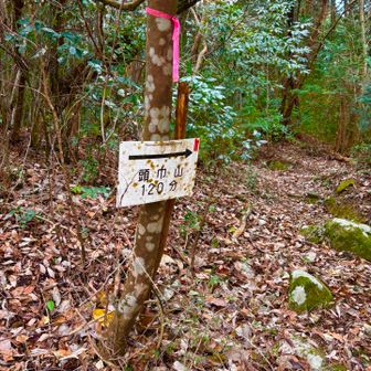 今日もよろしく