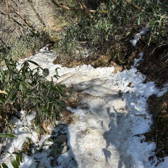 下山ルートで1番ツルツルだったとこ
注意！⚠️
