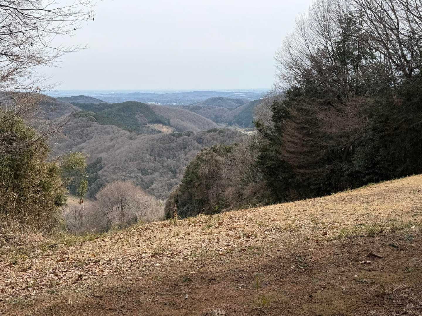 仙元山遊歩道入口-仙元山-城山-大日山-物見山-仙元山遊歩 周回コースの写真