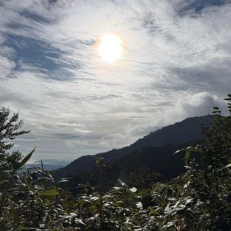 晴れてきた！