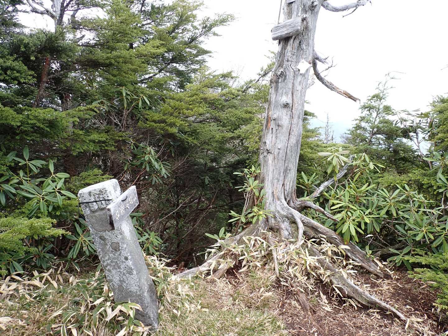 中袈裟丸山山頂。