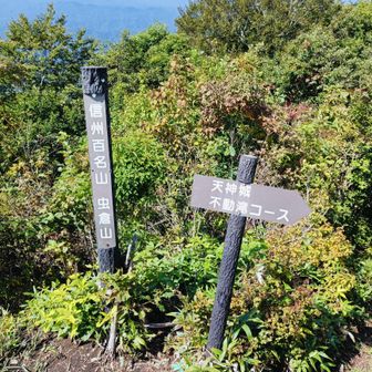 山頂標柱