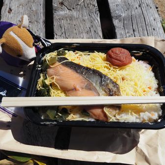 小屋で頼んでおいたお弁当
一見地味かと思いきや、中身はちらし寿司🍱
シャケも梅干しも、海苔まで付いてて美味しい❗
大満足のお弁当でした