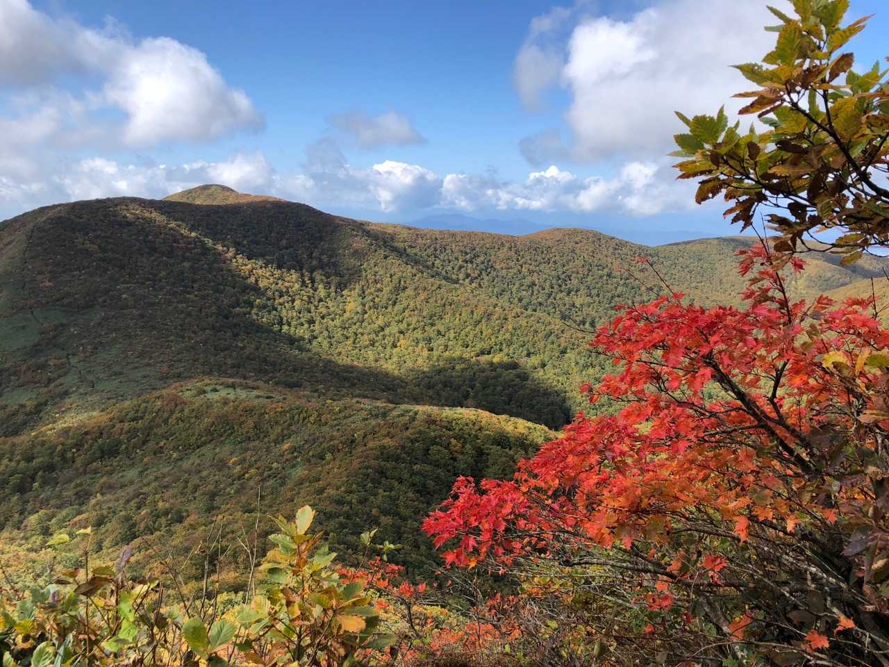 登ったら絶景✨😆