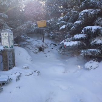 もちろん明星はパスで😅