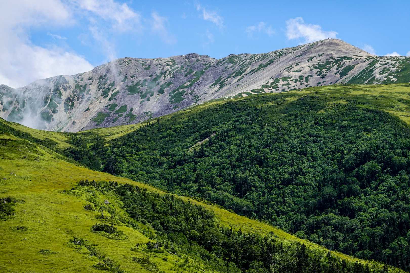 薬師岳登山口-アラスカ庭園-スイス庭園-日本庭園-三俣蓮華 縦走コースの写真
