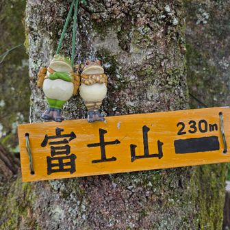 駐車場🅿️から、徒歩2分で栃木県のMt.ᖴujiこと→富士山⛰️GET～🚩公園の端っこに山名プレートあります。