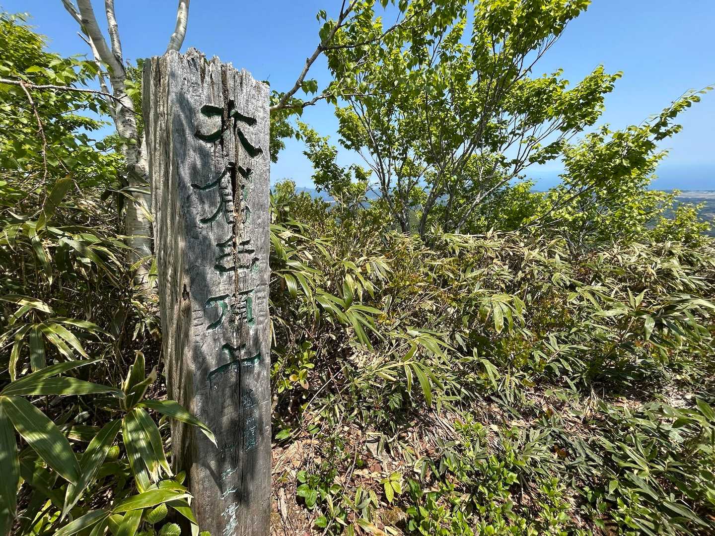 大倉岳に到着🏔️