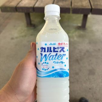 カルピスおいし〜ガブ飲み☺️