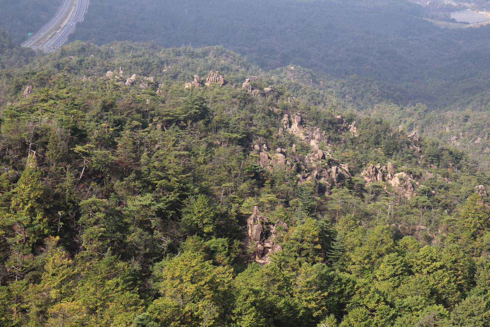 竜王山-天狗岩-鶏冠山 往復コースの写真