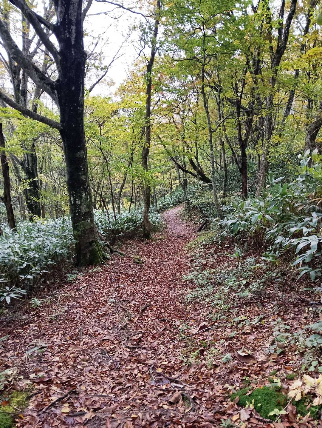 試合開始まであと10分じゃ、急げ🏃