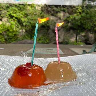 妻がバースデーゼリーを用意してくれました🎂