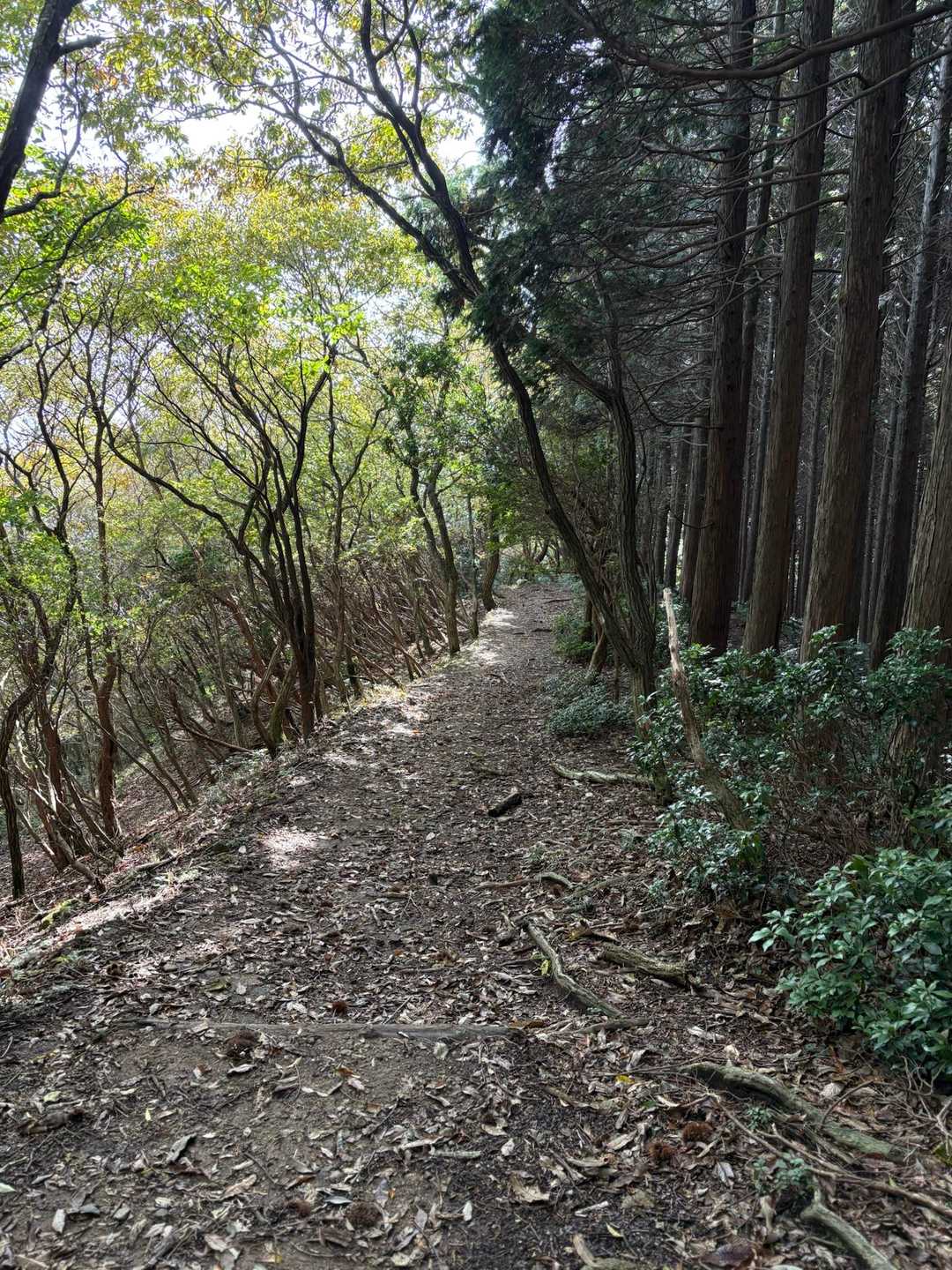 静かでルンルン