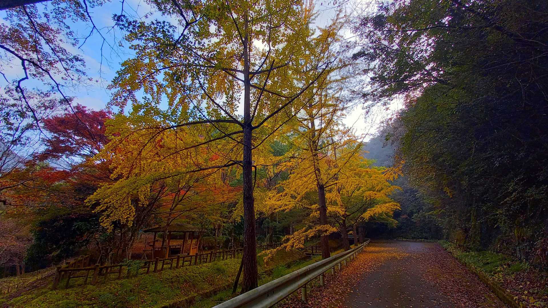 明神山登り口　-西の小明神-明神山登り口 往復コースの写真