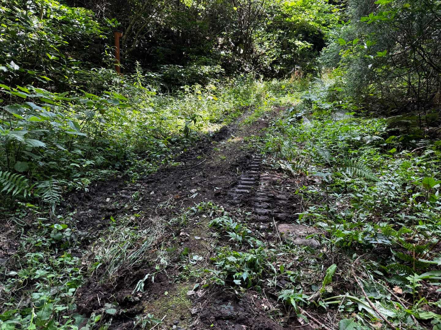 キャタピラの跡🚜工事なのか…❓
通れなさそうな幅の道なので先が心配になる😨