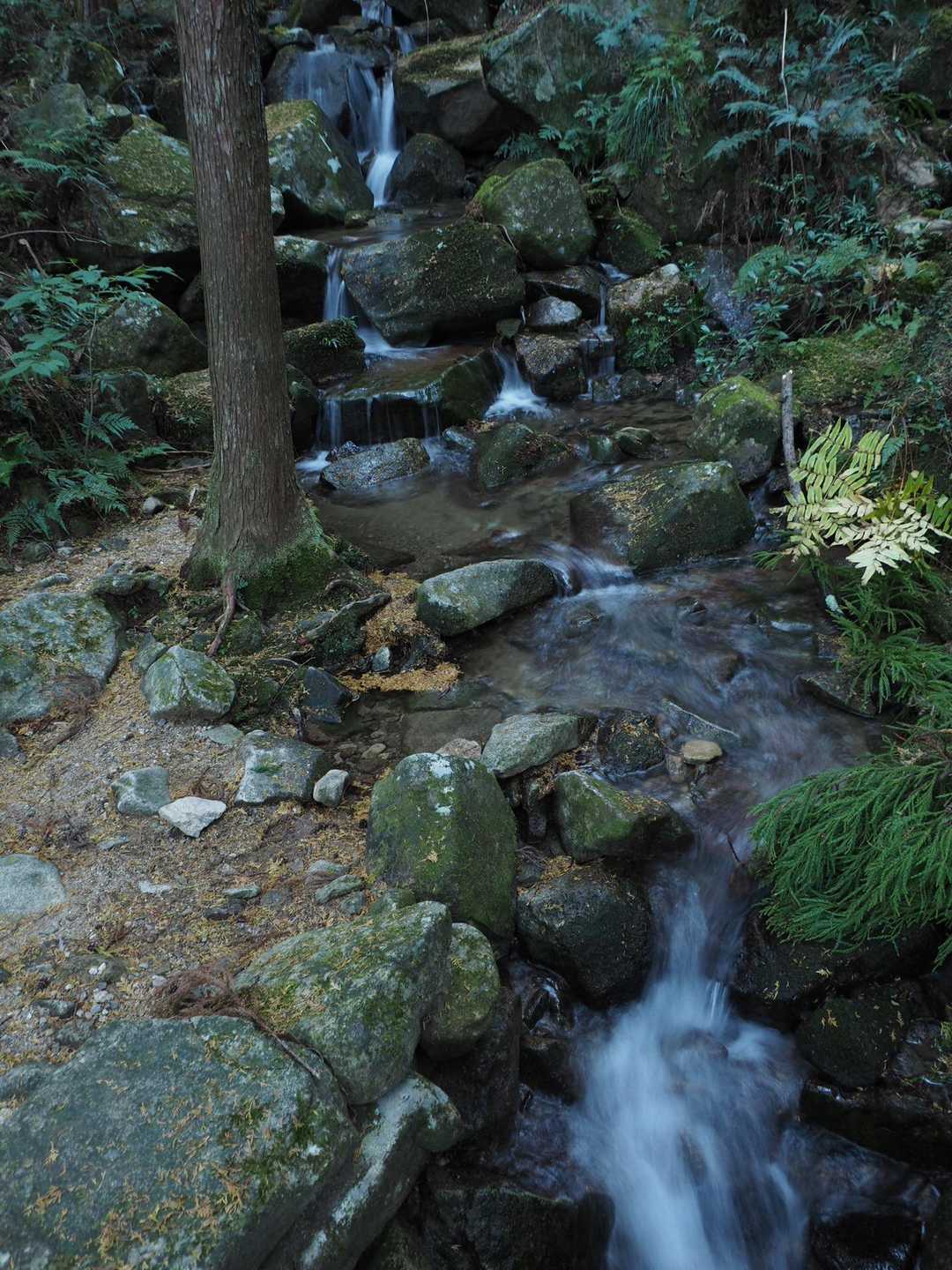 沢の流れる音が清々しいです