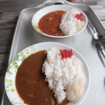 インドカレーとタヒチカレー🍛