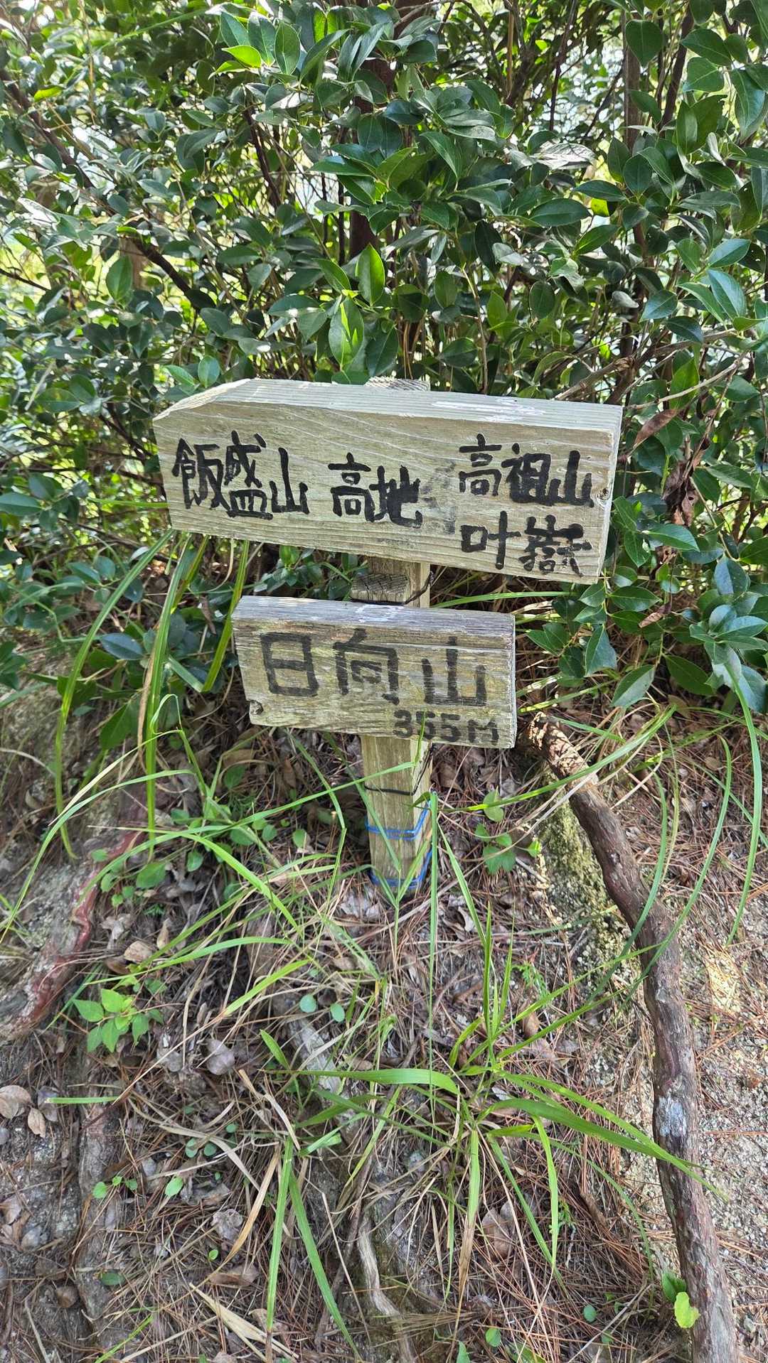飯盛山-日向山-高地山 往復コースの写真
