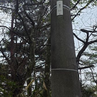 山頂標識は見つからず