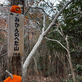 イタズラにみかん🍊がありました（笑）