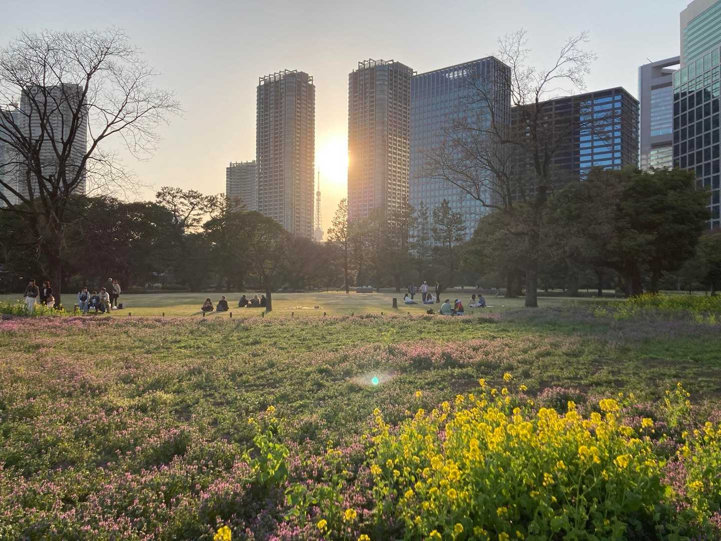 浜離宮恩賜庭園 周回コースの写真