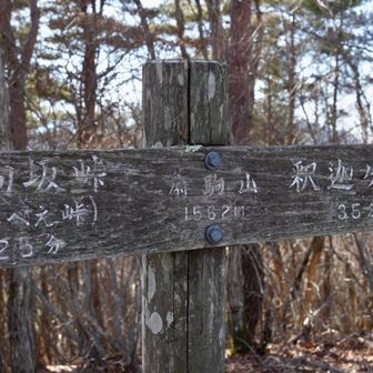 府駒山は山梨県御坂山地にある標高約1,562 mのピークで、釈迦ヶ岳の登山ルート上に位置する中間峰です。すずらん群生地からの登山道では黒岳や破風山とともに歩くことがあり、道中の尾根歩きの一部として通過点となります。山頂自体は展望地というより通過ポイントですが、周囲の山並みや富士山方面の展望を楽しみながら歩くことができます。