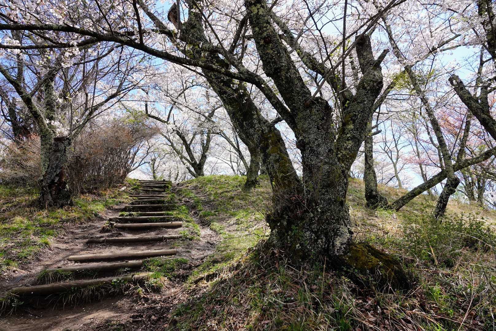 光城山-烏帽子峰-長峰山 縦走コースの写真