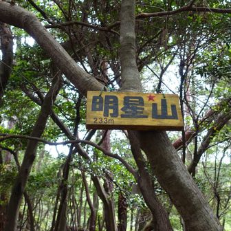 山頂は広いためにウロウロしやすい。全方向が来た道に見える。とりわけ等高線が広いといっそう間違いやすい。