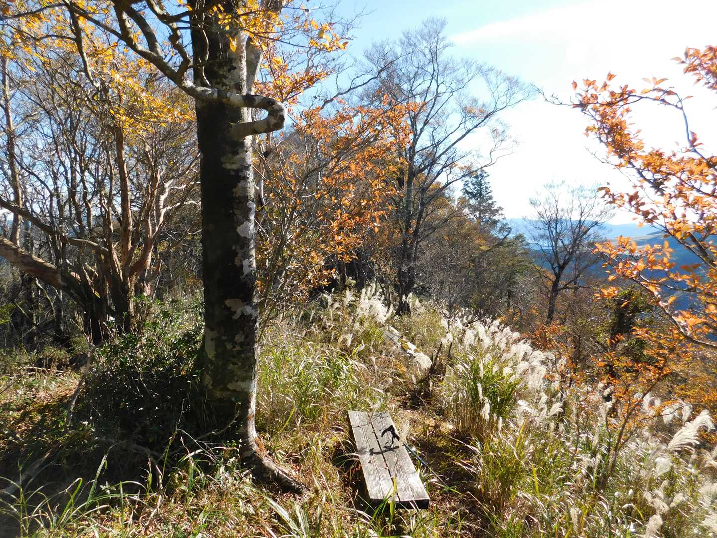 奥工石山 往復コースの写真