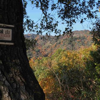 城山山頂から山側