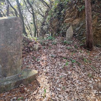 石碑みたいなのも多くて、里山って感じ

でも、この先は左に行くと崖、右に行っても崖。
右から登るみたいだけど、危険を冒してまで登るところではない