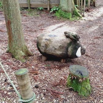 イノシシ・・・